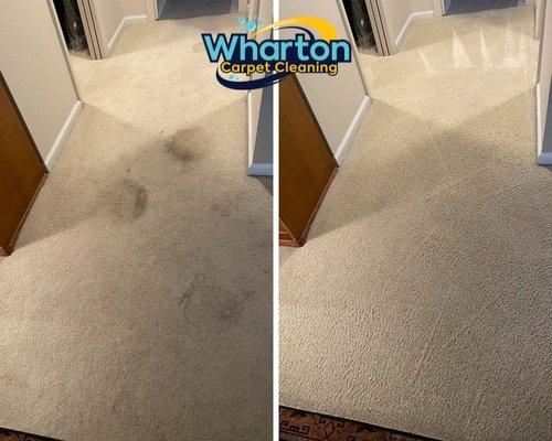 Before & After Carpet Cleaning