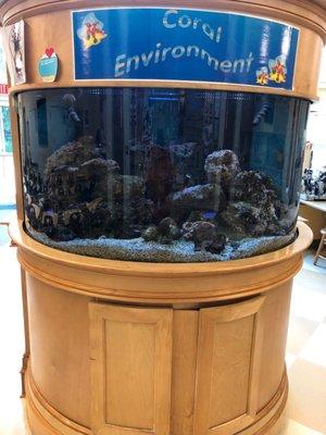 Lower school science, Saltwater tank