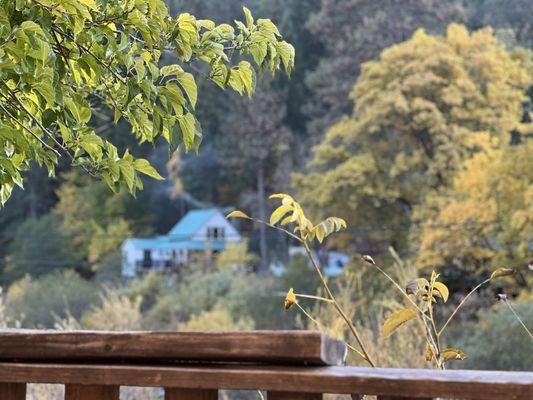 View from covered patio in back