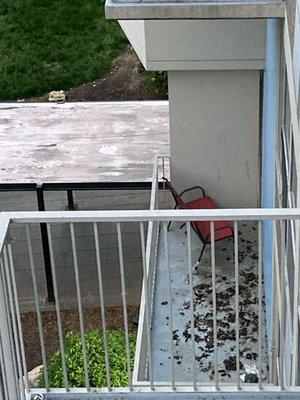 Dog shit on balcony for about a month now