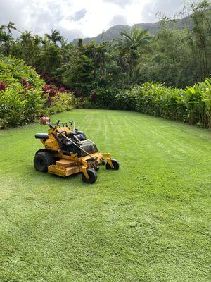 Kanaka Yard Maintenance