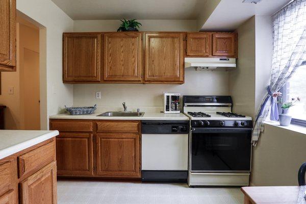 North Kitchen with Classic Laminate Cabinetry and Linoleum Floors