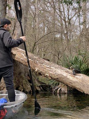 Get Up And Go Kayaking - Winter Park