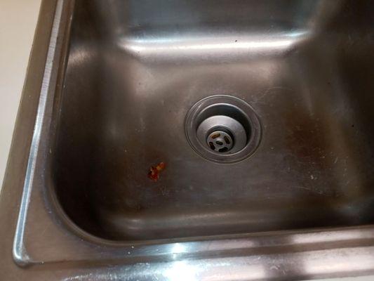 Don't know what this was in the sink...