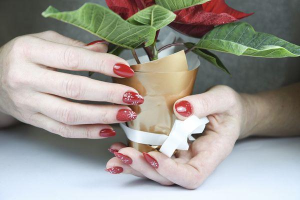 Christmas Colors Available
Here are some of the nail designs we are doing...