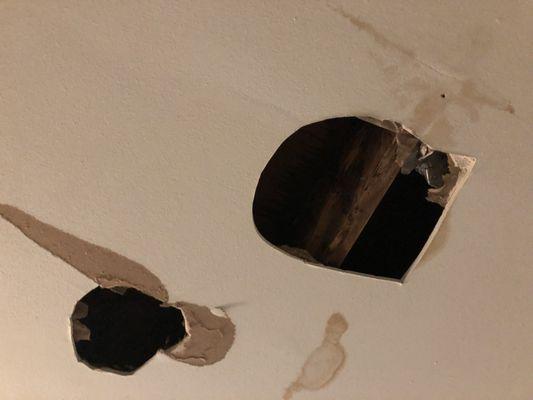 Water damage in the bedroom ceiling, left uncovered for months. Rent fully demanded, rent fully paid.