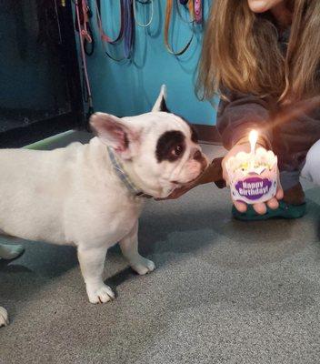 Birthday cupcake I brought for him