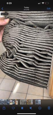 Air filter that they claim they checked.