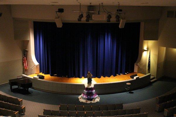 Theater for Performing Arts