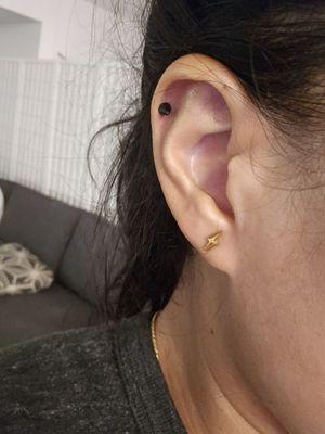 Cartilage piercing