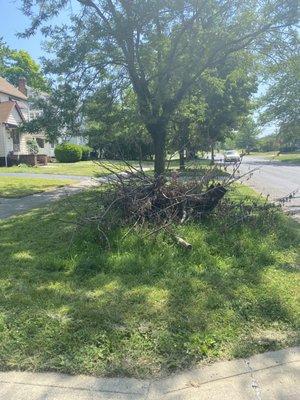 Tree limbs left for us upon arrival that neighbors stated were there for weeks prior and still sat there for two weeks post move in.