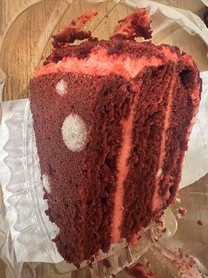 Red velvet cake with mold all over it