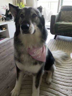 Kai with her Claudia bandana!