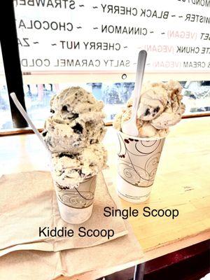 Kiddie and single scoop of Nelson's Ice Cream