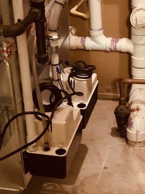 Condensate amd humidifier drain pumps, nicely installed.