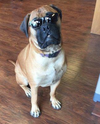 Handsome Fred modeling some sunglassses!