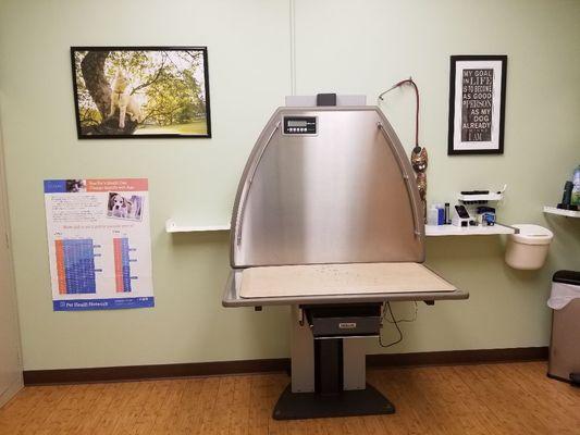 One of our spacious exam rooms with a lift table for our bigger guests