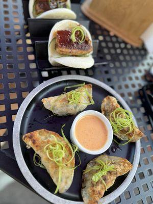 Gyoza and Bao Buns- Pork