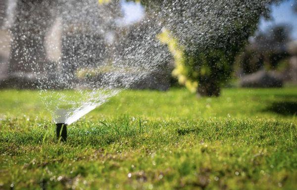 Carney Irrigation