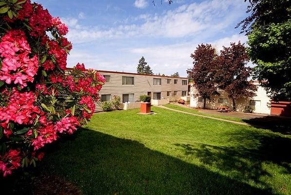 Spacious Courtyard