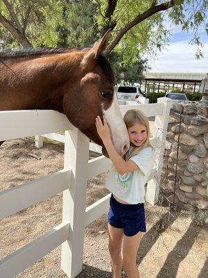 My daughter visiting "her horse" at TRAK across from Green Things.