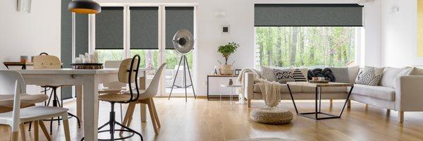 Interior Roller Shades