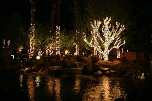 Tree lighting  Palm tree lighting It is circle wrapping Light stringers Around Palm trees And trees