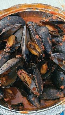 Mussels