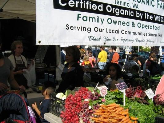 Soney Plains Organic Farm at the Col City Farmers Market