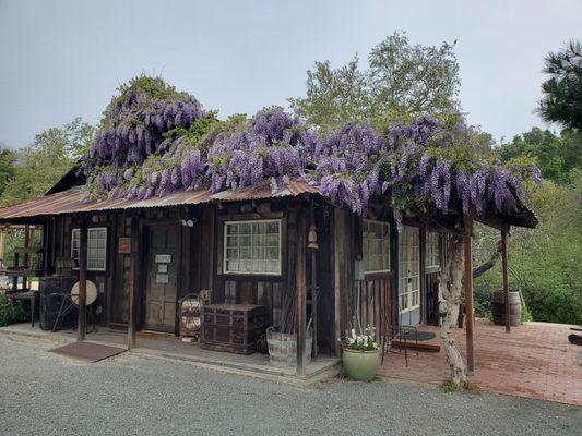 Bride's building