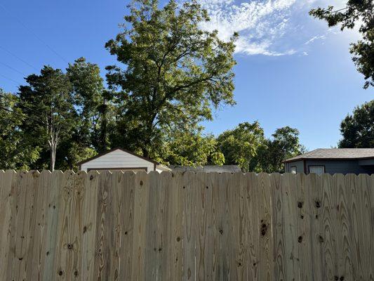 Pressure treated pine fence front