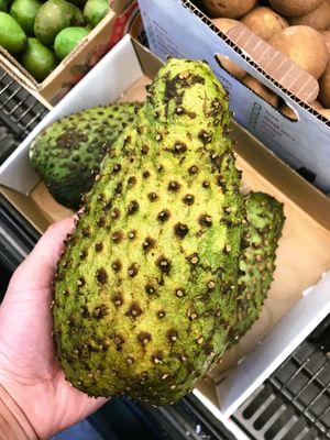 SOURSOP