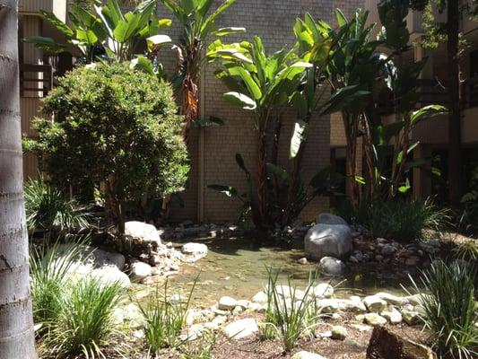 The courtyard outside the office