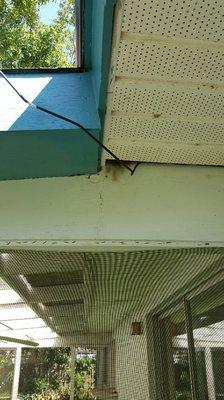 Can you see how rats are getting in this house.  Look at the oil marks on the soffit.  Ferguson does rodent control and exclusion.