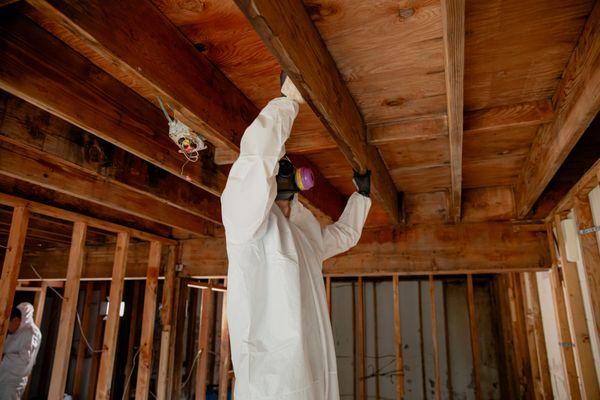 Deep cleaning for a mold remediation.