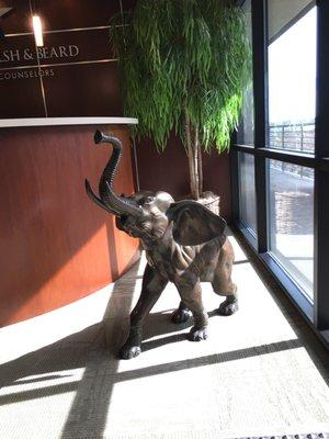 Love the Elephant in the Lobby!