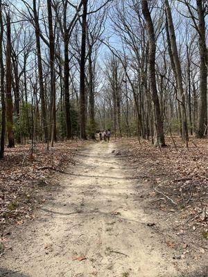 Walking trail