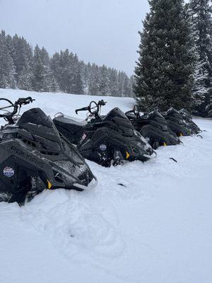 Vail pass trails