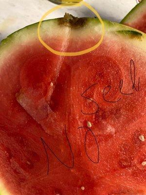 Seedless watermelon that's rotten