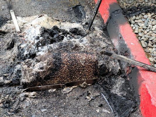 Close up of burnt rubbish by front door.