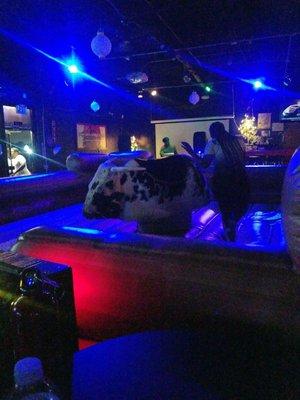 People riding the bull on thursday night. Every thursday night.