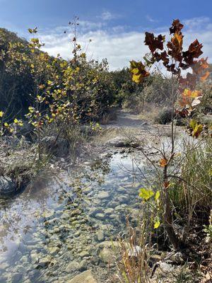 Beautiful creeks run throughout the trails