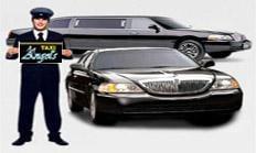 Taxi and Limousine services.