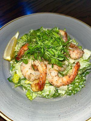 Caesar Salad w/ Shrimp