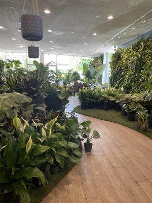 Indoor plant selection