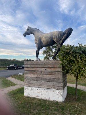 Jamaica Bay Riding Academy