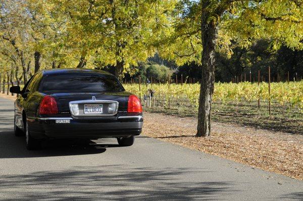 Allure Wine Tours at Sterling Vineyards in Calistoga