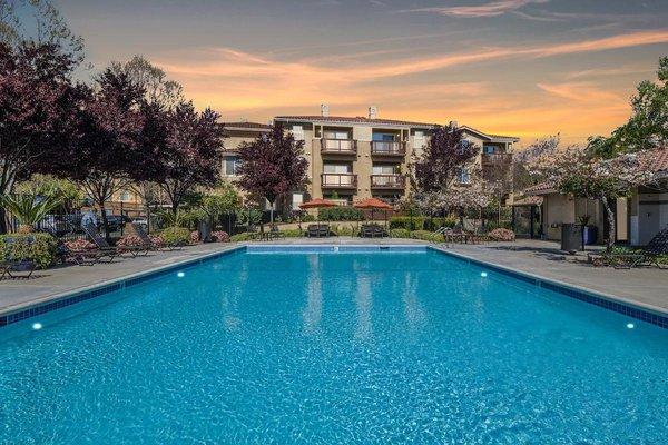 Pool at Cornerstone Apartments