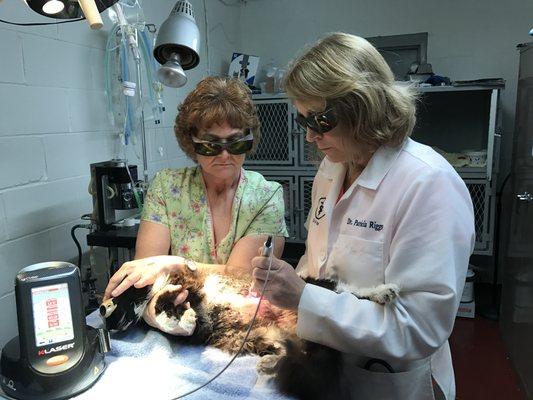 Dr Riggs administering K-Laser Therapy.