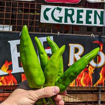 XXX-hot lumbre green chile from Hatch, New Mexico at Farmers Chile Market in Albuquerque